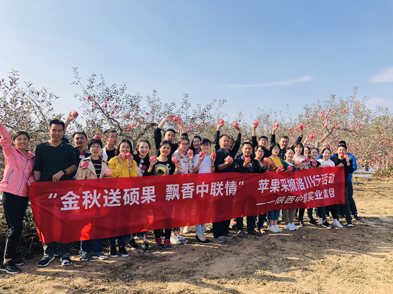 秋高气爽迎丰年，众志成城收硕果。10月12日，在集团董事长的深切关怀与满满祝福下，集团企化部组织集团及各公司30名高度认可企业文化，日常工作表现突出的员工代表远赴洛川苹果基地，展开集趣味性、知识性、教育性于一体的苹果采摘活动。大家走入果园，将一个个象征着收获与幸福的诱人果实亲手摘下，祈愿在全体中联人的团结拼搏下，2018年度业绩目标圆满达成。