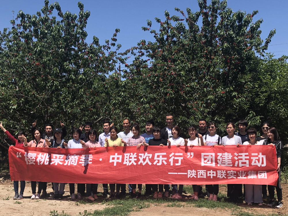 “遥闻春苑樱桃熟，先进金盘奉紫宸。”5月11日，初入孟夏时节，受陕西中联实业集团董事长委托，携带着董事长的深切关怀与问候，集团企化部组织全集团各公司、各部门员工代表25人一行，驱车前往西安白鹿原万亩樱桃基地，展开“樱桃采摘季·中联欢乐行”——寻找“中联果实”樱桃采摘活动。大家走入农家园林，幸福采摘艳红欲滴的新鲜樱桃果实，在品尝美味之余，深深体会到中联大家庭的温暖。
