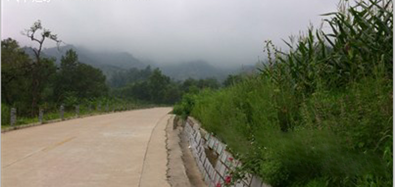 2010年，刚从学校毕业的我怀着一颗懵懂的心步入社会，开始了我的求职之路。同年10月，我与陕西中联集团结缘，入职陕西欣达汽车贸易有限公司，正式成为了这个大家庭里的一份子。
作为新人，刚入职就被集团规范化的流程所震撼。入职后，公司首先安排了新员工入职培训。通过培训，了解到集团的发展历程、品牌知识，公司各项规章制度等；同时学习了时间管理、商务礼仪、目标管理、职业规划等基本知识。培训结业典礼时，集团董事长等多位领导出席，至今还记得董事长在会上的致辞:“虽然第一次和大家见面，但是我一直在关注大家，通过